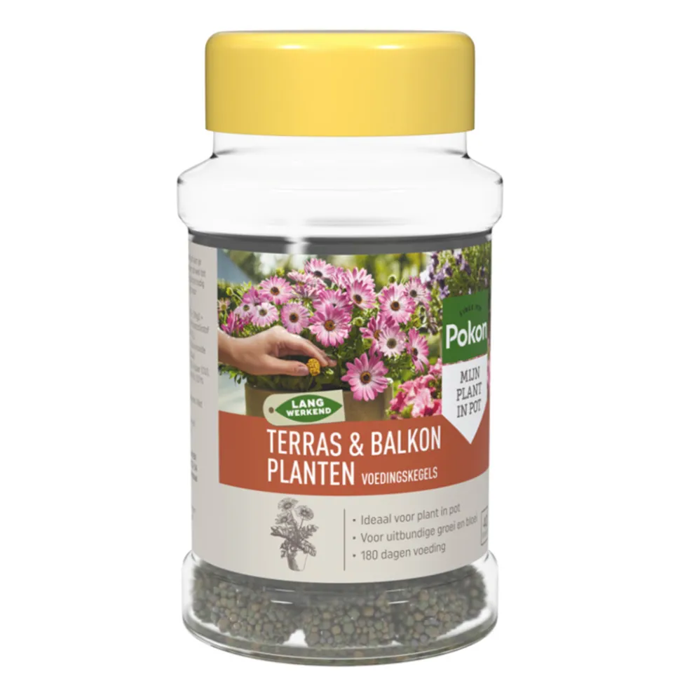 Pokon Voedingskegels Terras & Balkon Planten 40 stuks