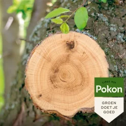 Pokon Wondafdekmiddel 300 gr