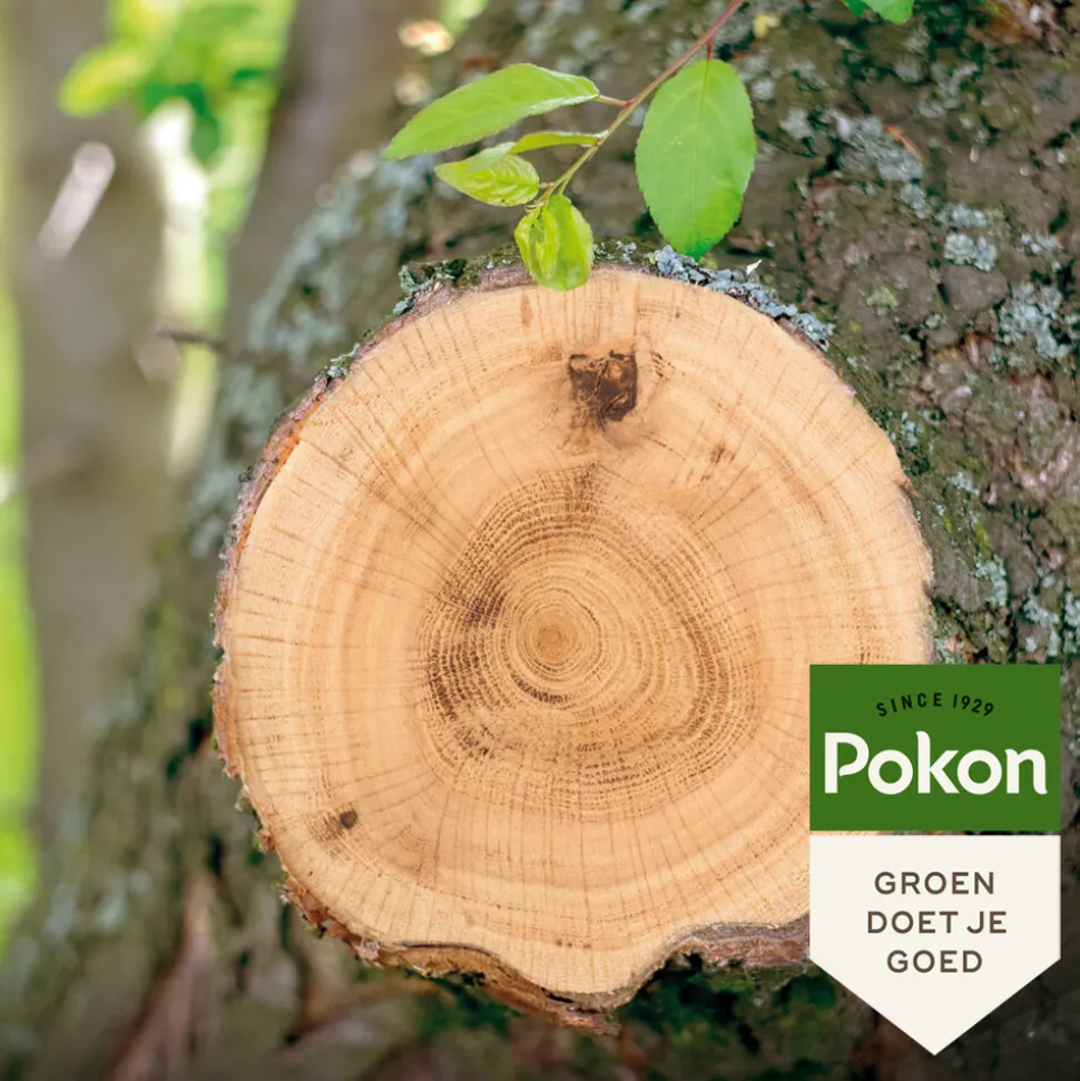 Pokon Wondafdekmiddel 300 gr