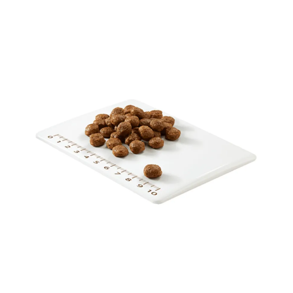 Schesir Kattenvoer Dry Kitten 1,5 kg