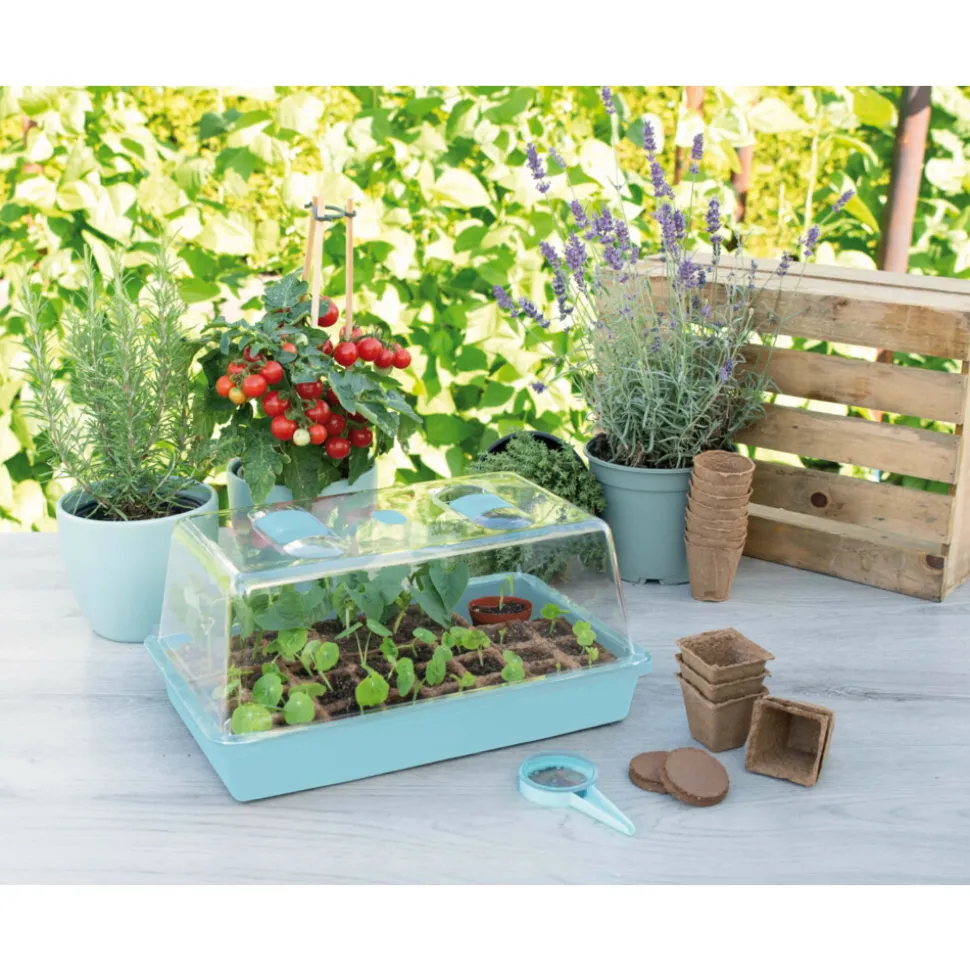 SOGO Kweekkas Inclusief Beluchting 38 x 24 cm