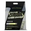 Stacker Giant Mass Gainer Chocolate 2270 gr