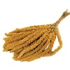 Trosgierst 300 gr