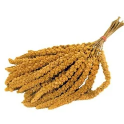 Trosgierst 300 gr