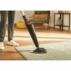 Vileda Stoomreiniger Steam Plus 1 set