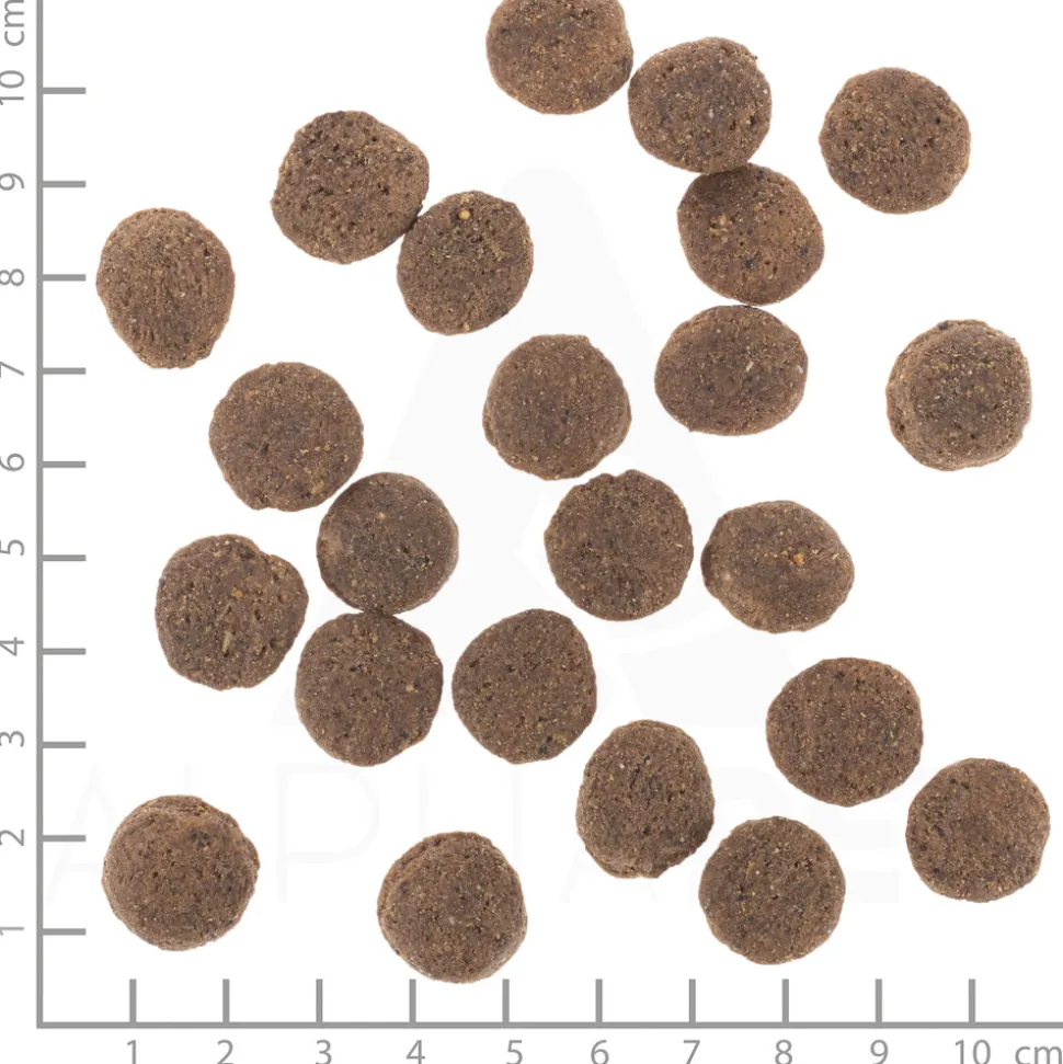 Wolfsblut VetLine Hypoallergenic 12 kg