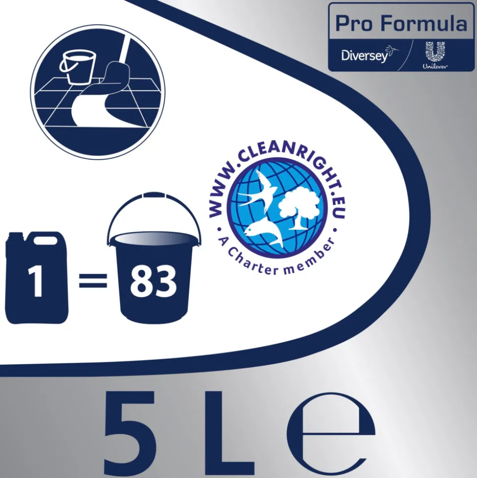 2x Andy Professional Allesreiniger Citroen Fris Pro Formula 5 liter