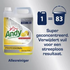 2x Andy Professional Allesreiniger Citroen Fris Pro Formula 5 liter