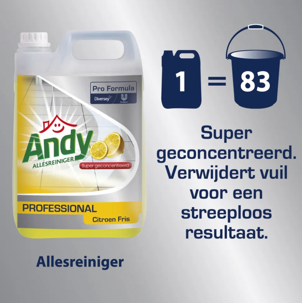2x Andy Professional Allesreiniger Citroen Fris Pro Formula 5 liter