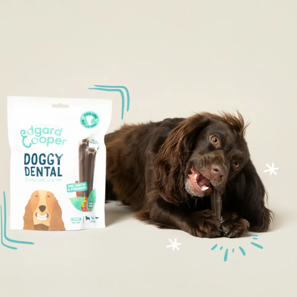 4x Edgard & Cooper Doggy Dental Sticks Aardbei - Frisse Muntolie