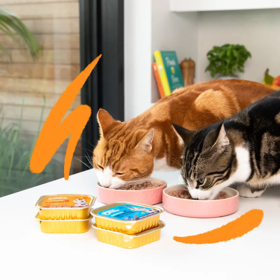 16x Edgard & Cooper Kattenvoer Adult Bio Paté Zalm - Kip 85 gr