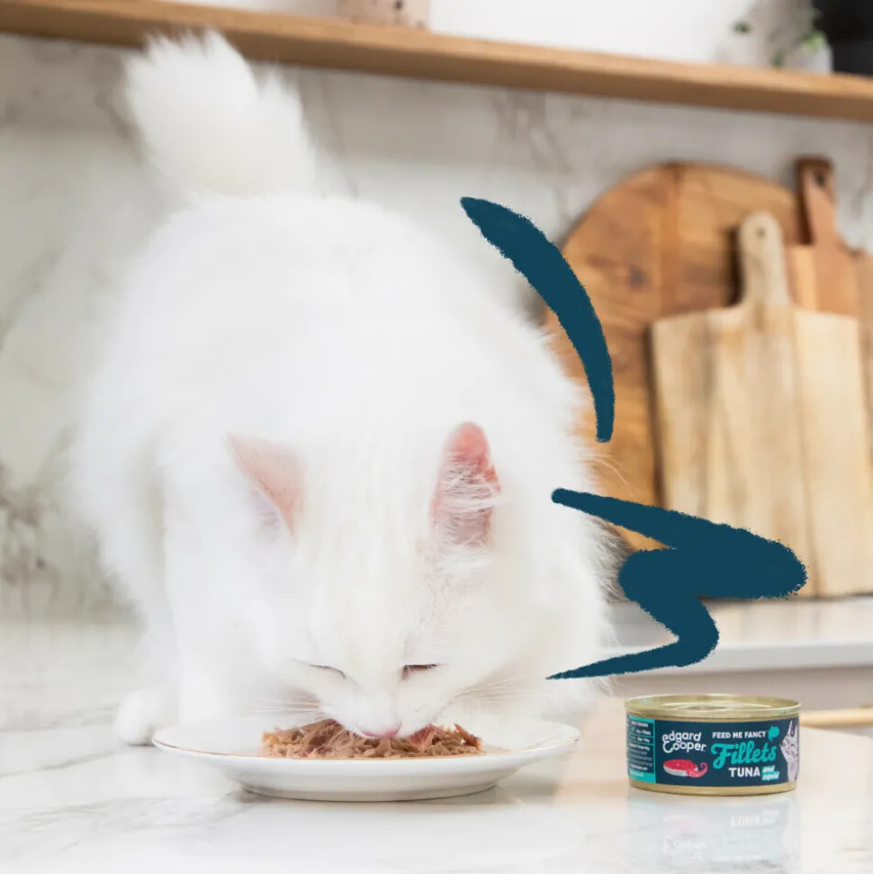 24x Edgard & Cooper Kattenvoer Fillets Tonijn - Inktvis 70 gr