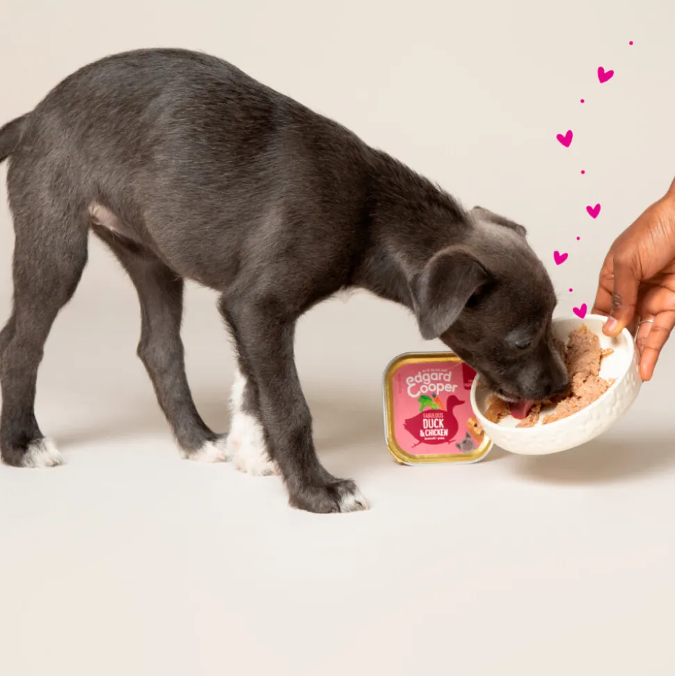 18x Edgard & Cooper Kuipje Vers Vlees Puppy Hondenvoer Eend - Kip 300 gr