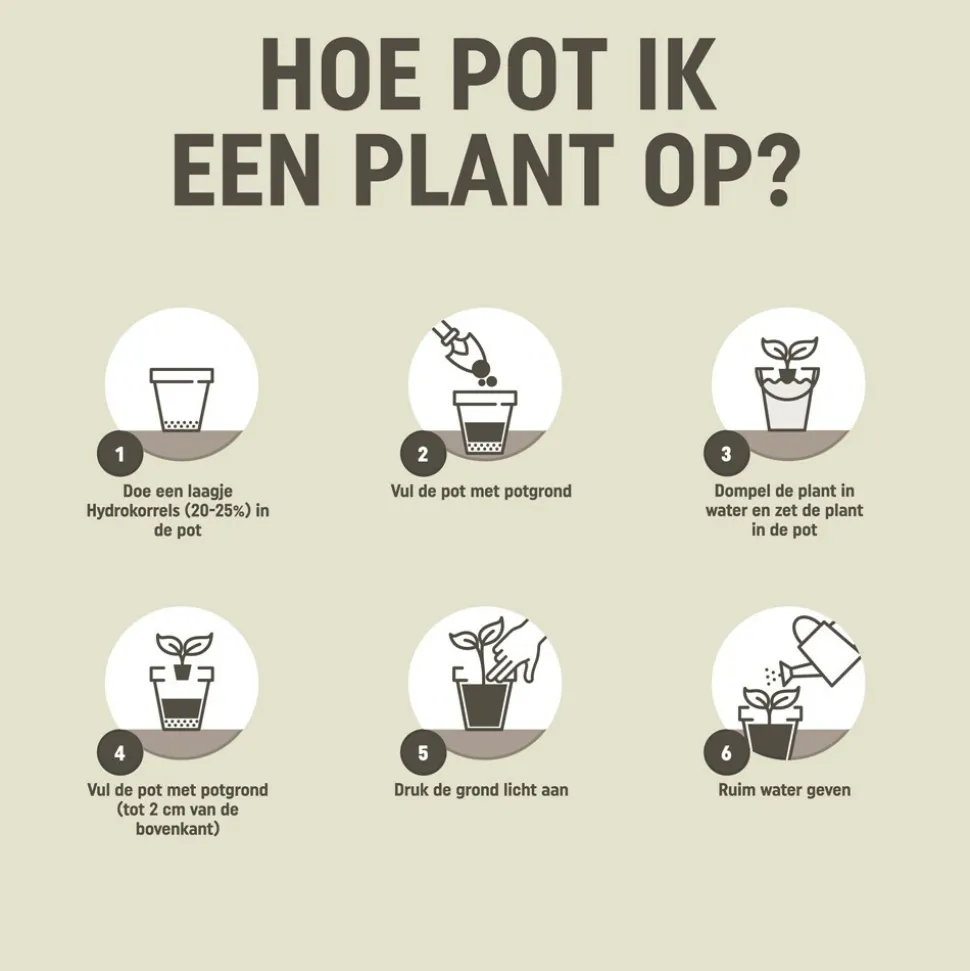 5x Pokon RHP Anthurium Potgrond Anthurium 5 liter