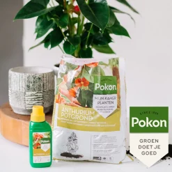5x Pokon RHP Anthurium Potgrond Anthurium 5 liter