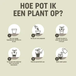 5x Pokon RHP Potgrond Cactus 5 liter