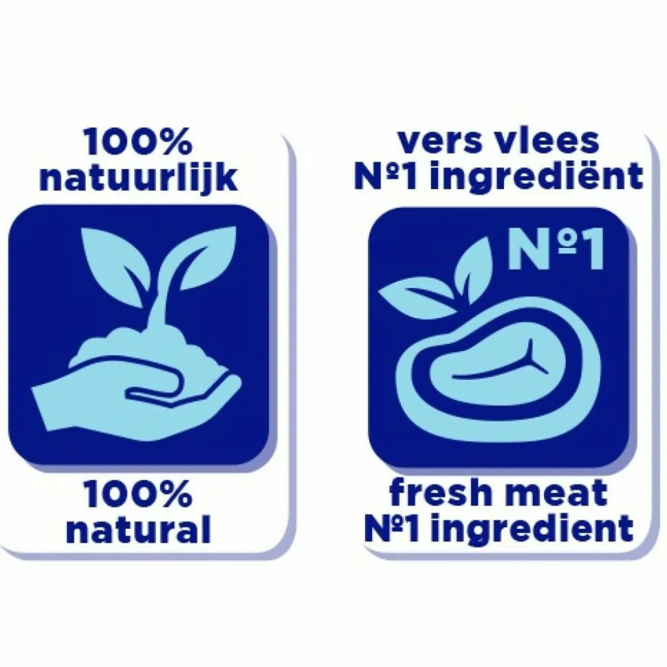 10x Renske Vers Gestoomd Complete Menu Hondenvoer Nat Zalm Graanvrij 395 gr
