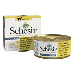 10x Schesir Hondenvoer Kip - Ananas 150 gr