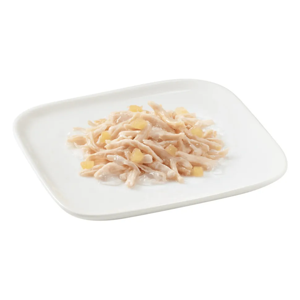 10x Schesir Hondenvoer Kip - Appel 150 gr