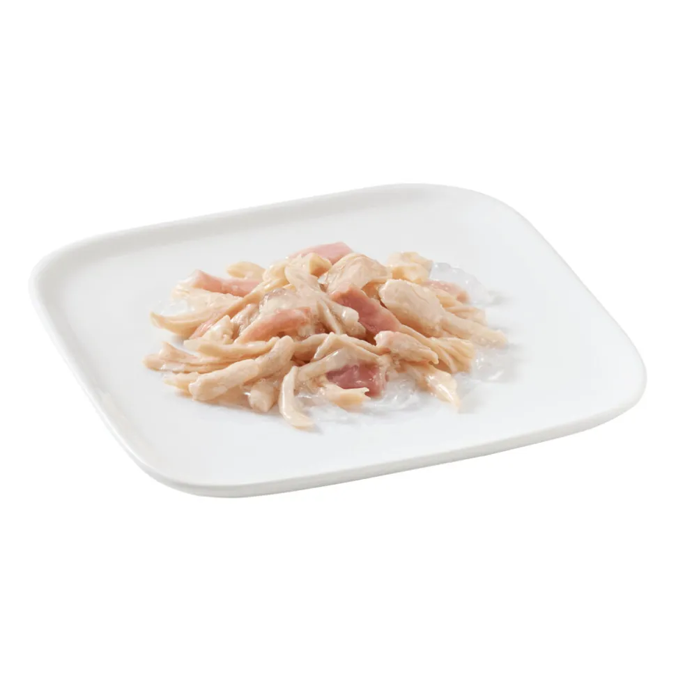 10x Schesir Hondenvoer Kipfilet en Rundvlees in Gelei 150 gr