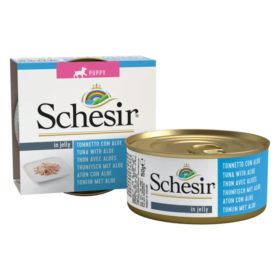 10x Schesir Hondenvoer Puppy Tonijn Aloe in Gelei 150 gr