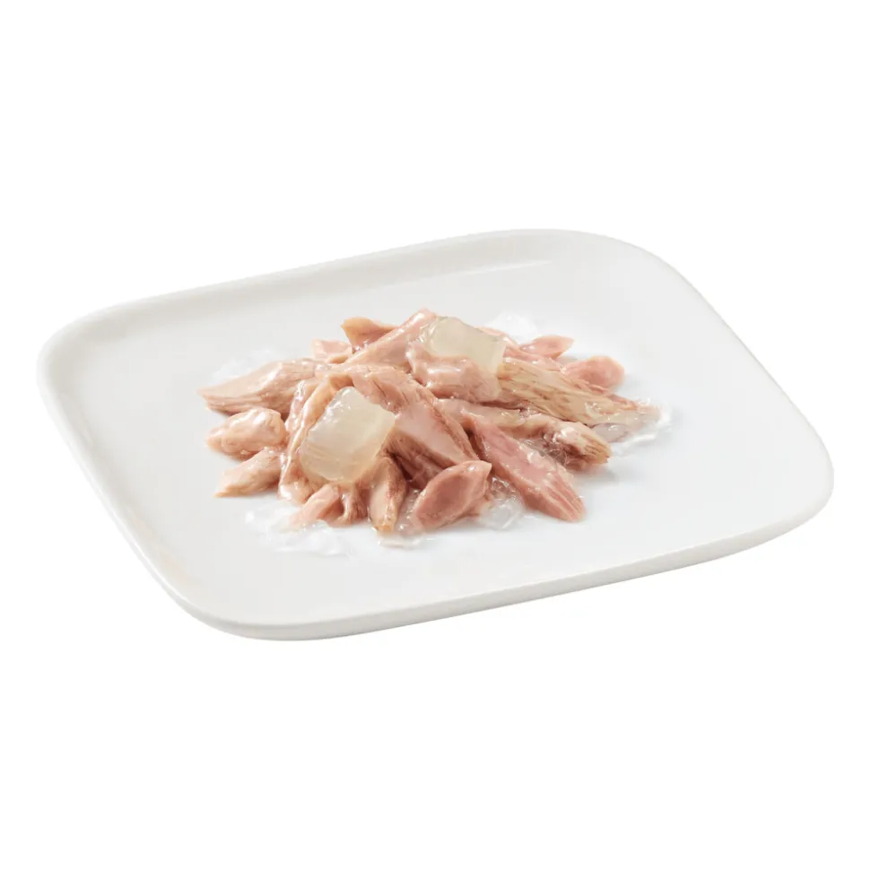 10x Schesir Hondenvoer Puppy Tonijn Aloe in Gelei 150 gr