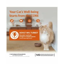 12x Wellness Core Kattenvoer 98% Recipe Kalkoen 85 gr
