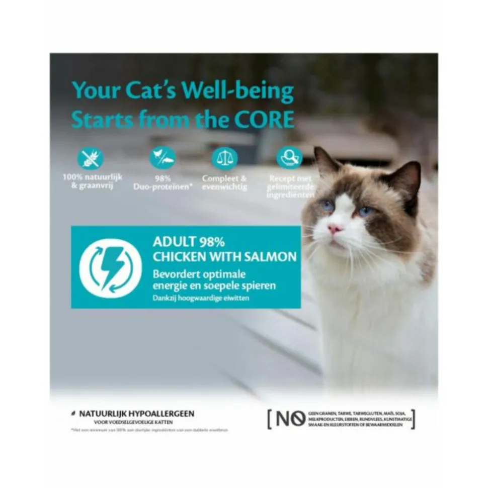 12x Wellness Core Kattenvoer 98% Recipe Kip - Zalm 85 gr