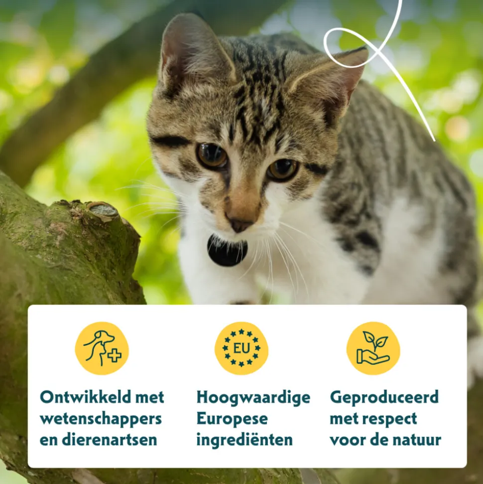 12x Yarrah Bio Kattenvoer Paté Kip 400 gr
