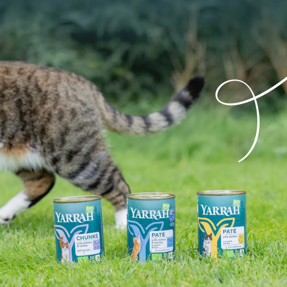 12x Yarrah Bio Kattenvoer Paté Kip 400 gr