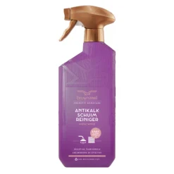 6x Bruynzeel CH Anti Kalkreiniger Fresh Wood 500 ml