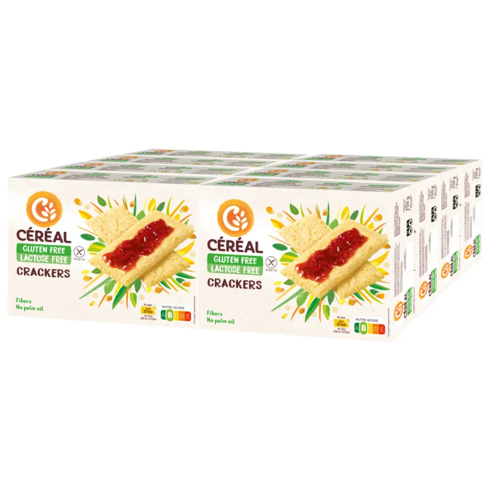 8x Céréal Crackers Glutenvrij En Lactosevrij 250 gr