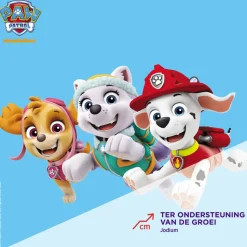 2x Dagravit Multivitamine Gummie Paw Patrol 60 gummies