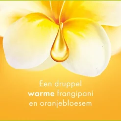 12x Palmolive Douchegel Aroma Essences Forever Happy 250 ml