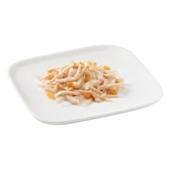 10x Schesir Hondenvoer Kip - Papaya 150 gr