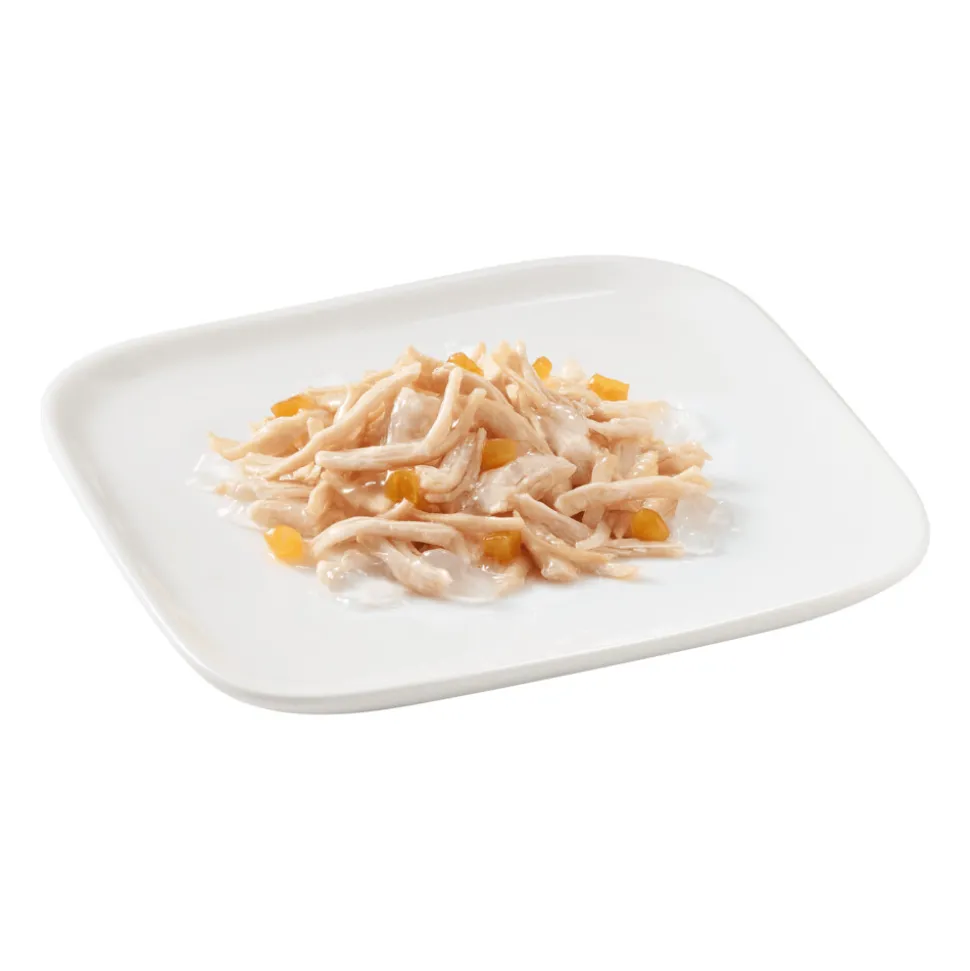 10x Schesir Hondenvoer Kip - Papaya 150 gr