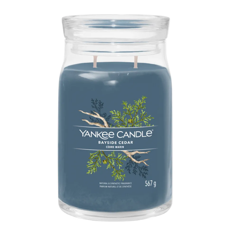 Yankee Candle Geurkaars Large Jar Bayside Cedar Signature 567 gr