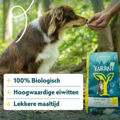 Yarrah Bio Hondenvoer Adult Kip 10 kg