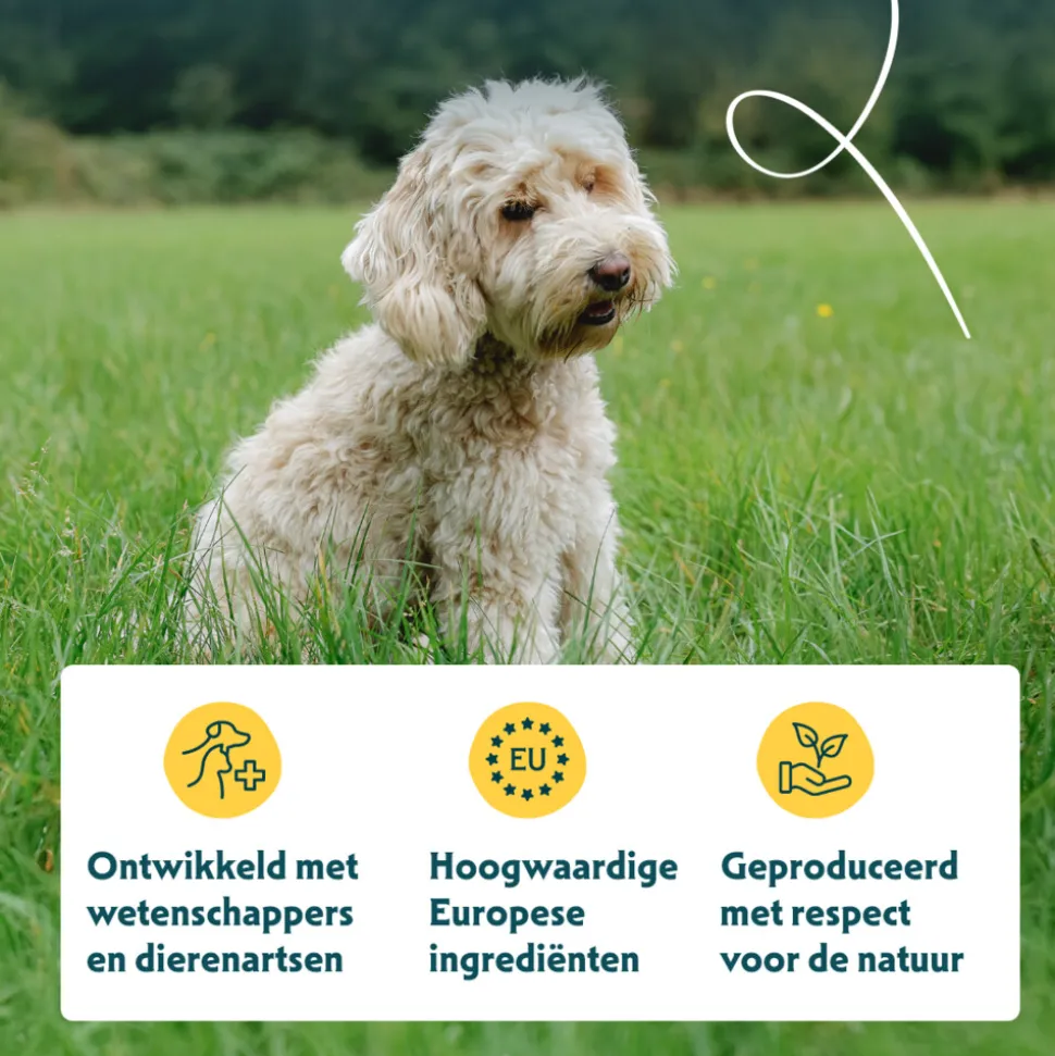 Yarrah Bio Hondenvoer Senior Kip 10 kg