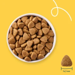 Yarrah Bio Hondenvoer Vegetarisch Tarwe Vrij 10 kg